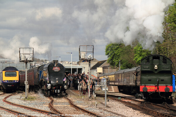 Steam rules the Day Picture Board by Stephen Hamer