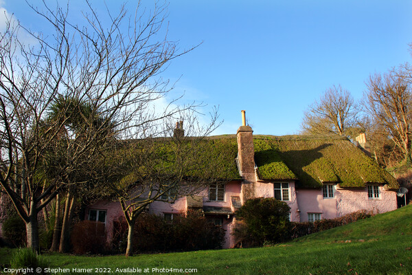 Devon Thatched Cottages Picture Board by Stephen Hamer