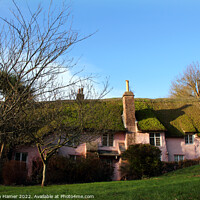 Buy canvas prints of Devon Thatched Cottages by Stephen Hamer
