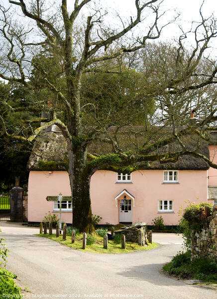 Pink Thatched Cottage Picture Board by Stephen Hamer