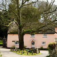 Buy canvas prints of Pink Thatched Cottage by Stephen Hamer