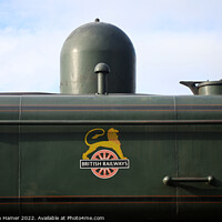 Buy canvas prints of British Railways Logo by Stephen Hamer