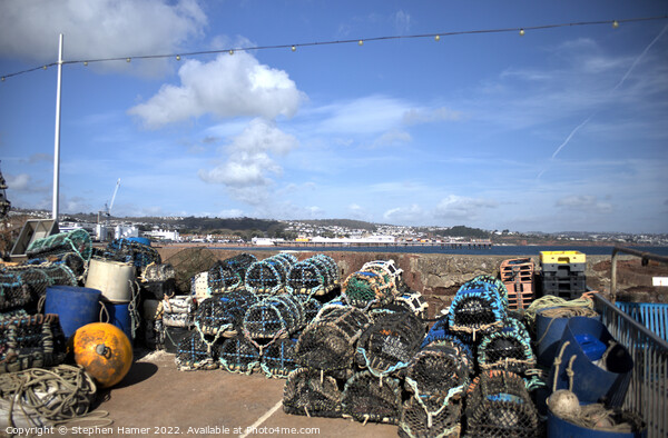 Lobster Pot's on the Quayside Picture Board by Stephen Hamer