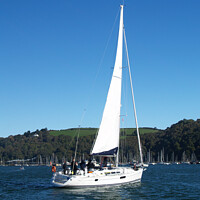 Buy canvas prints of Sailing on the River Dart by Stephen Hamer
