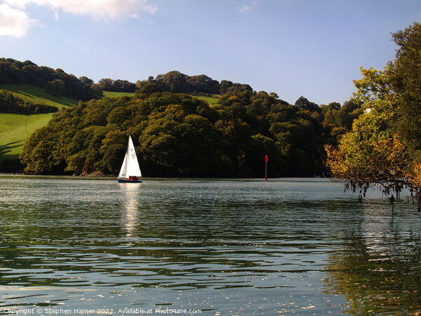 Sailing on the River Dart #2 Picture Board by Stephen Hamer
