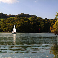 Buy canvas prints of Sailing on the River Dart #2 by Stephen Hamer