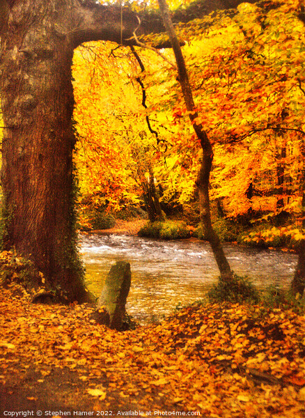 River of Gold Picture Board by Stephen Hamer