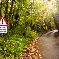 Buy canvas prints of Road Liable To Flooding by Stephen Hamer