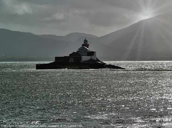 Fenit Lighthouse and Tralee Bay in Monochrome Picture Board by Stephen Hamer