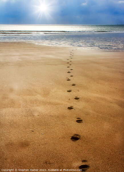 Footsteps Picture Board by Stephen Hamer