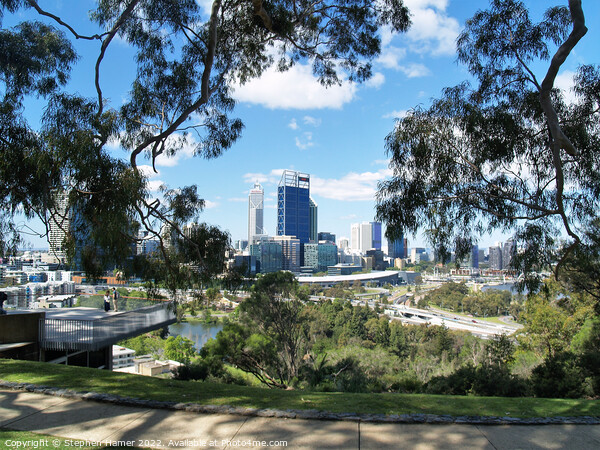 Perth City from Kings Park_ Picture Board by Stephen Hamer