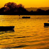 Buy canvas prints of Sunset Silhouetted Boats by Stephen Hamer