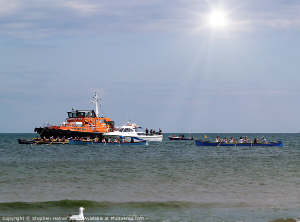 Ladies Gig Race Picture Board by Stephen Hamer