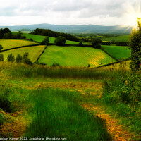 Buy canvas prints of Devon/Dartmoor Sunset by Stephen Hamer