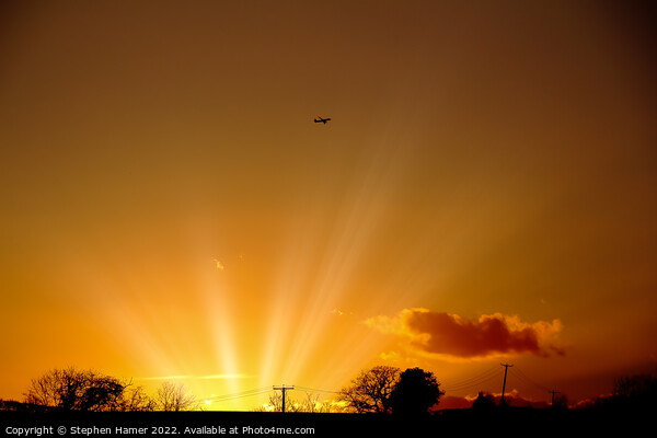 Sunset Flight Picture Board by Stephen Hamer