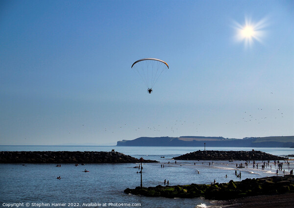 Powered Paraglider over Sidmouth Picture Board by Stephen Hamer