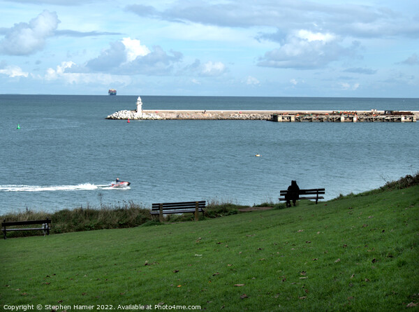 A View of Brixham Breakwater Picture Board by Stephen Hamer