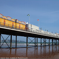 Buy canvas prints of The Pier Paignton by Stephen Hamer