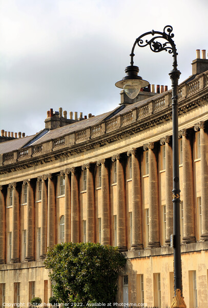The Royal Crescent Bath Picture Board by Stephen Hamer