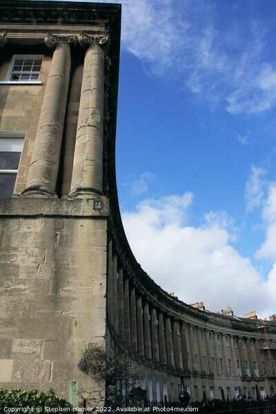 The Royal Crescent in Bath Picture Board by Stephen Hamer