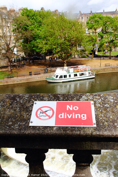 No Diving Picture Board by Stephen Hamer