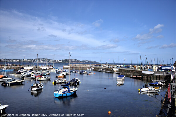 Paignton Harbour View Picture Board by Stephen Hamer