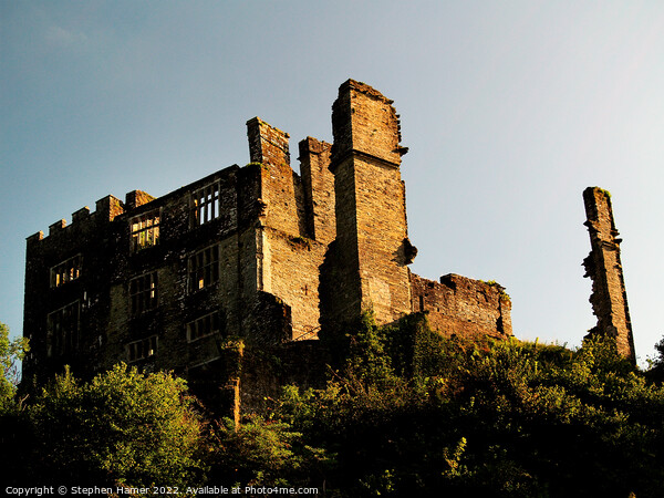 Haunted Beauty Berry Pomeroy Castle Ruins Picture Board by Stephen Hamer