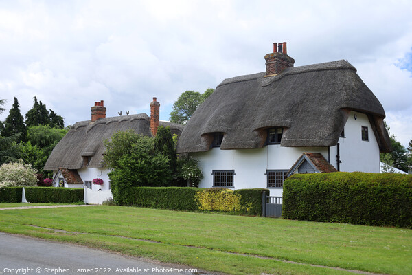 Essex Thatched Cottages Picture Board by Stephen Hamer