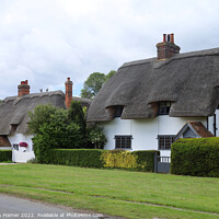 Buy canvas prints of Essex Thatched Cottages by Stephen Hamer