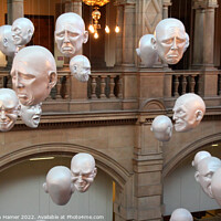 Buy canvas prints of Hanging Heads by Stephen Hamer