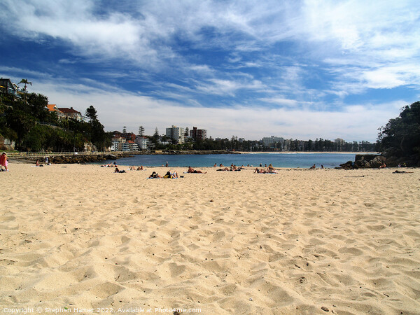 Shelly Beach Manly Picture Board by Stephen Hamer