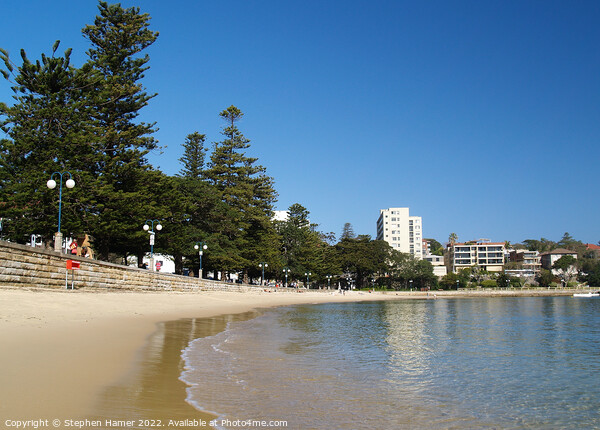 East Manly Cove Beach Picture Board by Stephen Hamer