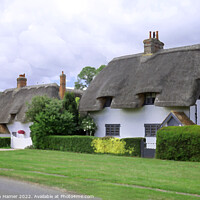 Buy canvas prints of Charming Henham Cottages by Stephen Hamer