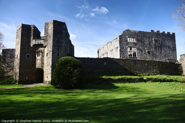 The Enchanting Ruins of Berry Pomeroy Castle Picture Board by Stephen Hamer