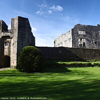 Buy canvas prints of The Enchanting Ruins of Berry Pomeroy Castle by Stephen Hamer