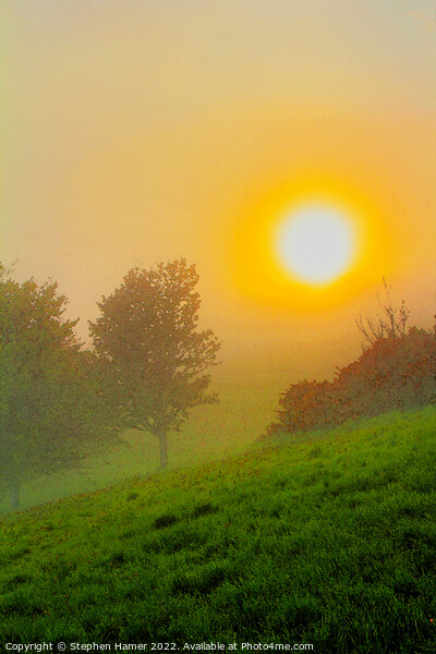 Golden Misty Sunset Picture Board by Stephen Hamer