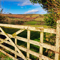 Buy canvas prints of Rustic Charm A Weathered Wooden Gate by Stephen Hamer