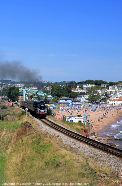 Majestic Steam Train on the English Riviera Picture Board by Stephen Hamer