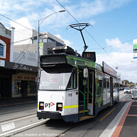Buy canvas prints of Melbourne Tram by Stephen Hamer