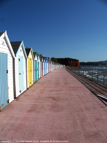 Parade of Beach Huts Picture Board by Stephen Hamer