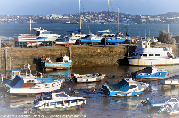 Tranquil Harbour Scene Picture Board by Stephen Hamer