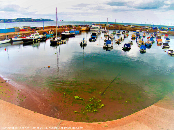 Fish Eyed View of Paignton Harbour Picture Board by Stephen Hamer