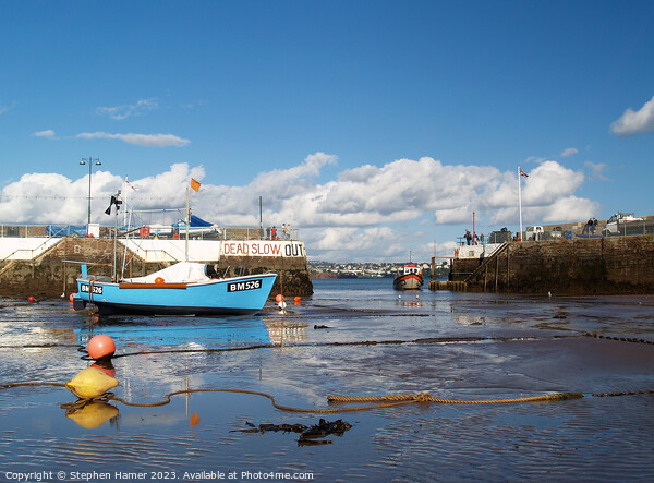 Unveiling Paignton Harbour: Low Tide Picture Board by Stephen Hamer