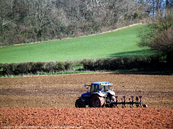 Rustic Devonshire Ploughing Scene Picture Board by Stephen Hamer