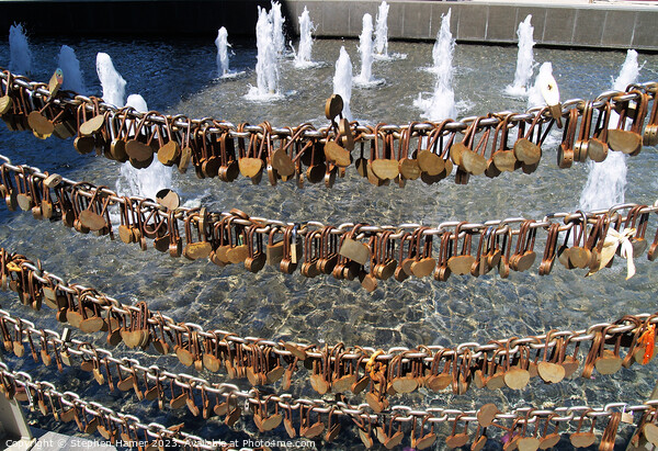 Love Locks: Perth's Silent Sentiments Picture Board by Stephen Hamer