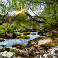 Buy canvas prints of Dartmoor Stream by Stephen Hamer