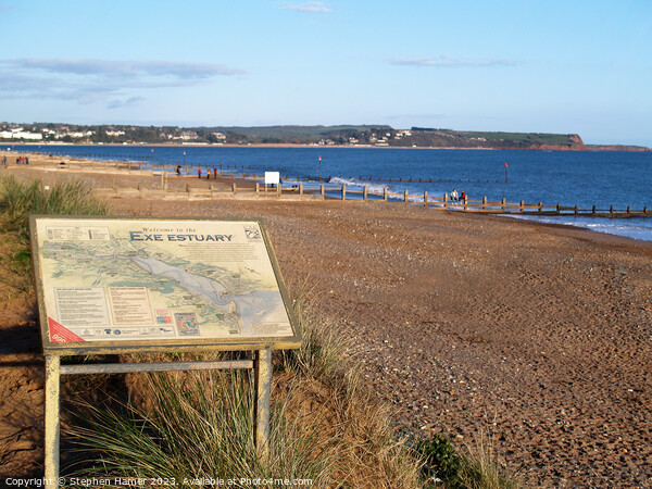 Exe Estuary Picture Board by Stephen Hamer