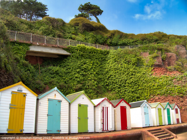 Beach Huts Picture Board by Stephen Hamer