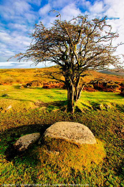 Rowan and Rock Picture Board by Stephen Hamer