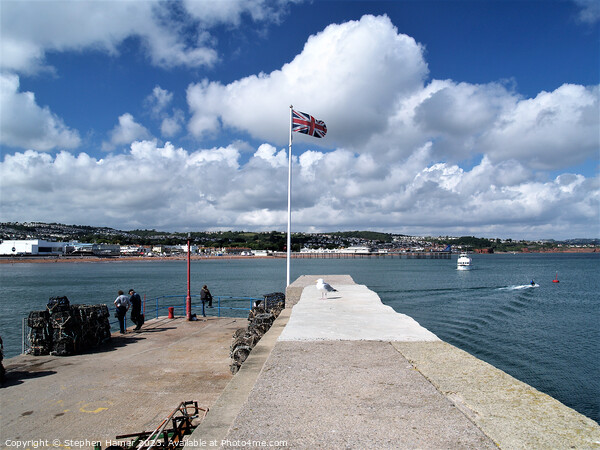Flying the Flag for Paignton Picture Board by Stephen Hamer